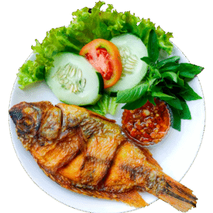 Pangasius Basa